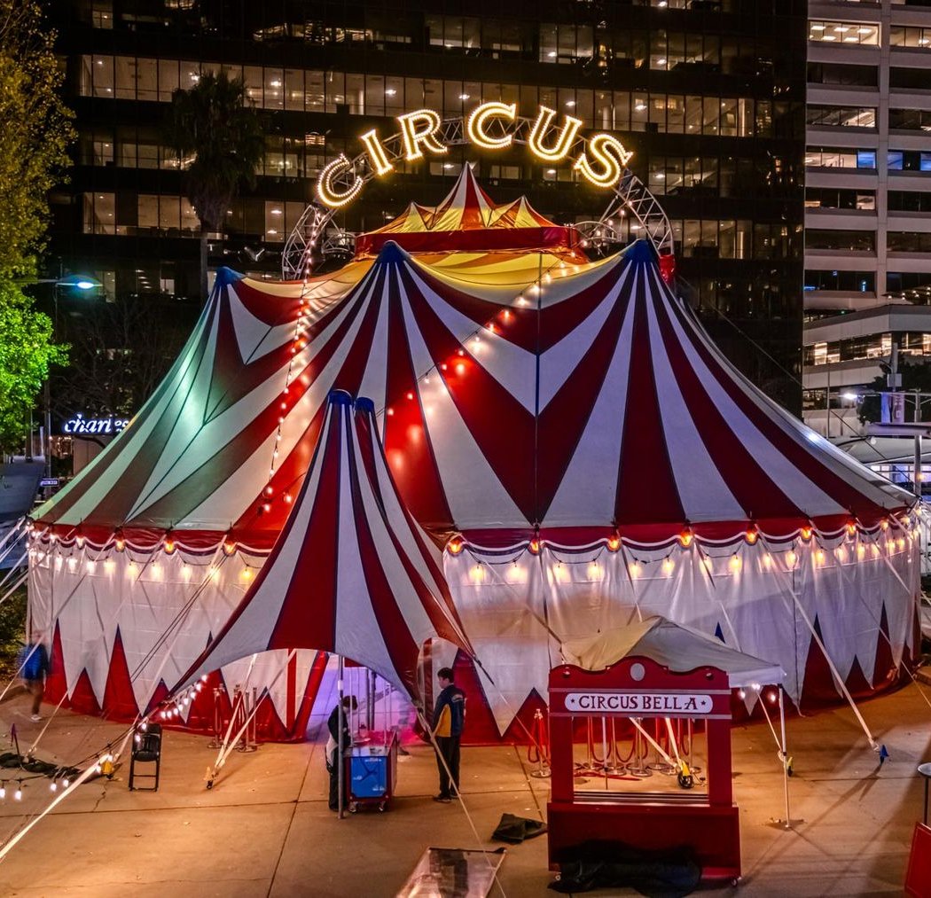Circus Bella's AH HA!